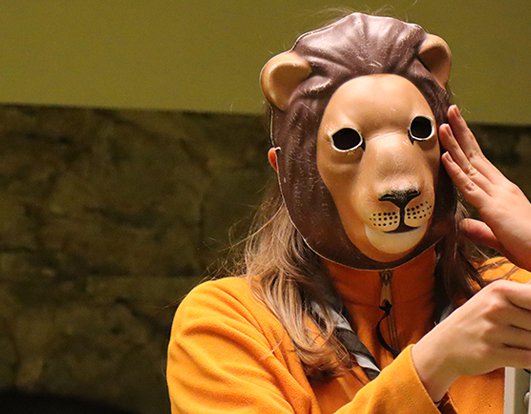 FAn, Anim1 et Anim2 Toussaint 2018